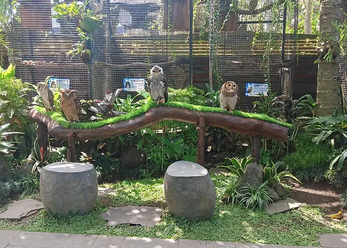 Liyer Spirit House