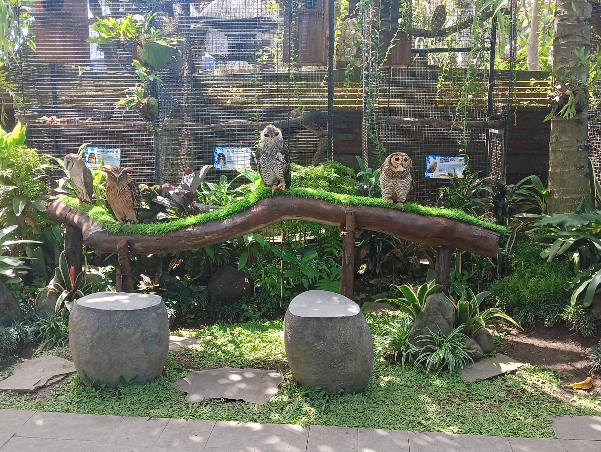 Liyer Spirit House गेस्ट हाउस 3*